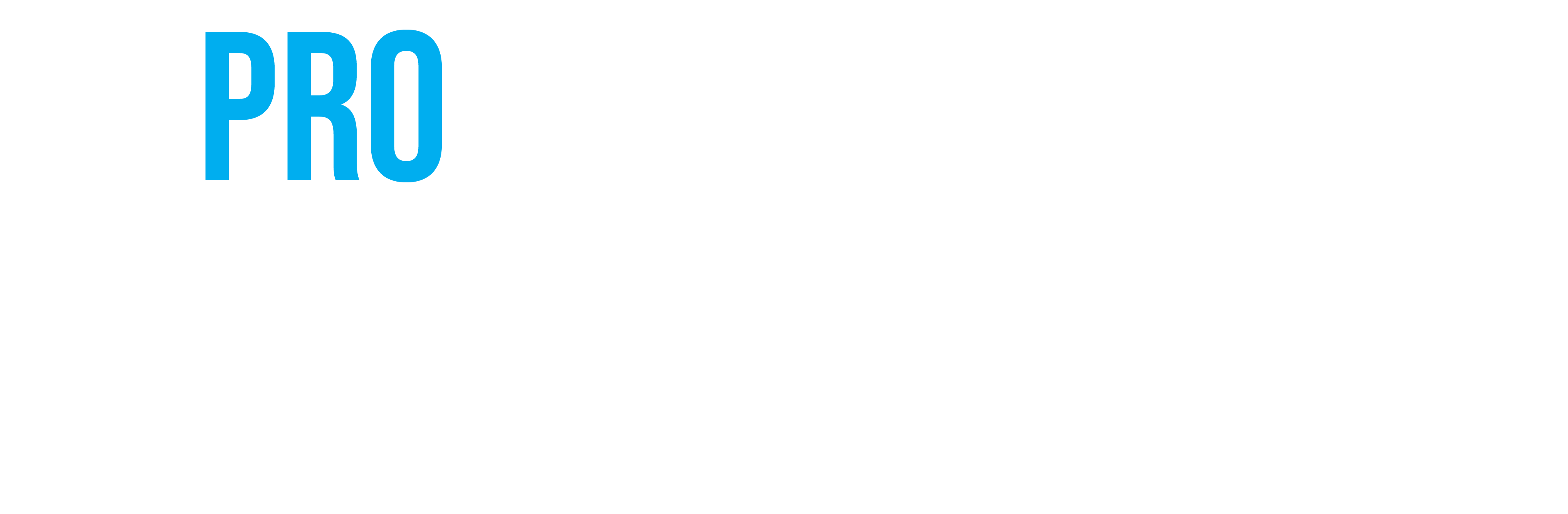 Pro Studio Store Logo